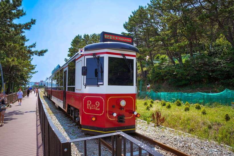 Busan: Gamcheon Village and Haeundae Blueline Park Tour - Pickup, timing, and the return journey