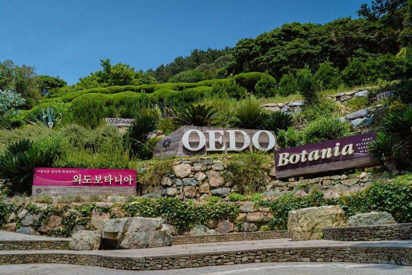 Busan: Geoje Coastal Escape, Sea Breeze, Oedo Botania Island - Key points to know before booking
