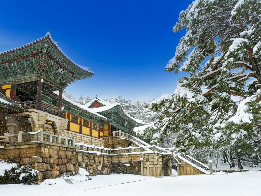 Busan: Gyeongju UNESCO Legacy Tour with National Museum - Lunch and Dalmaji-gil: food is separate