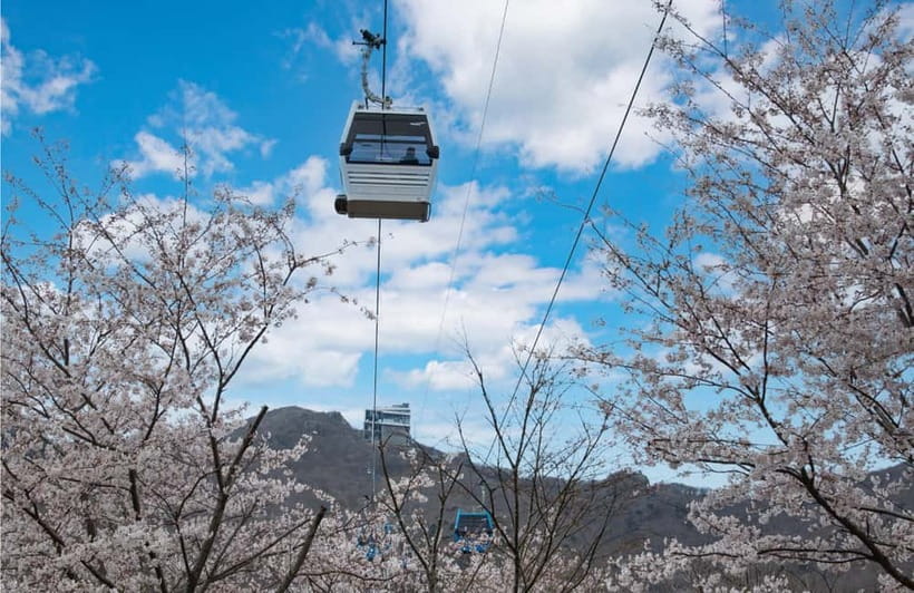 Busan: Hidden Gem Geoje & Oedo Botania Island & Cable car - Two hours at Oedo Botania