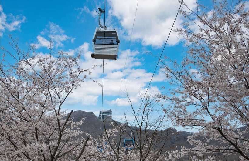 Busan: Hidden Gem Geoje & Oedo Botania Island & Cable car - Windy Hill and the Geoje coast