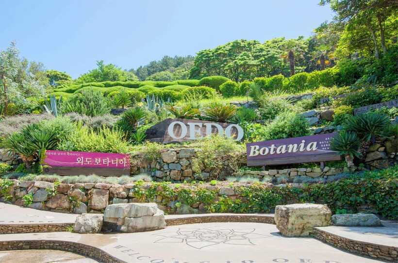 Busan: Hidden Gem Geoje & Oedo Botania Island & Cable car - How the small van group affects the day