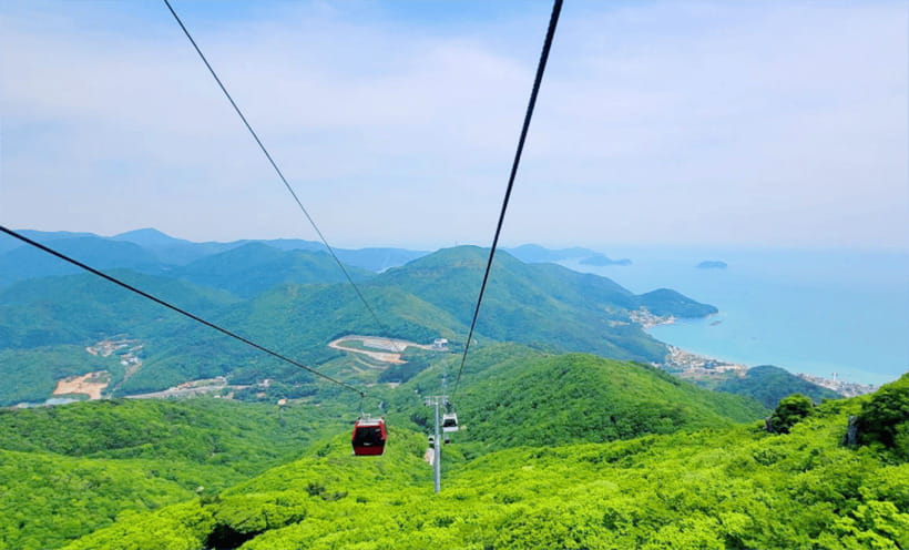 Busan: Hidden Gem Geoje & Oedo Botania Island & Cable car - Who should book this Geoje day trip?