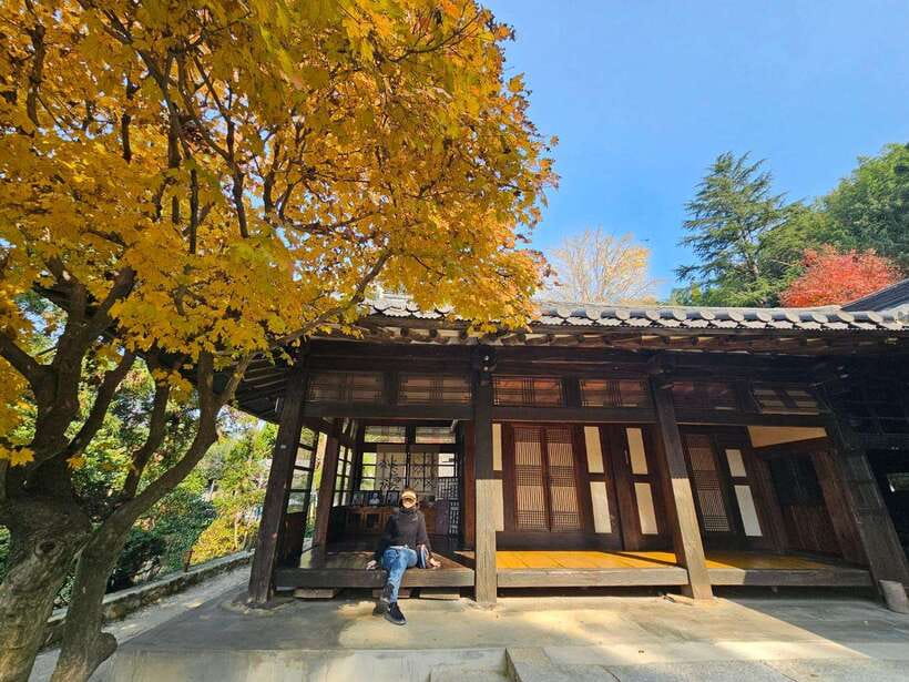 Busan: Hidden Gems Private Tour with a Certified Guide - What the guides add to the day