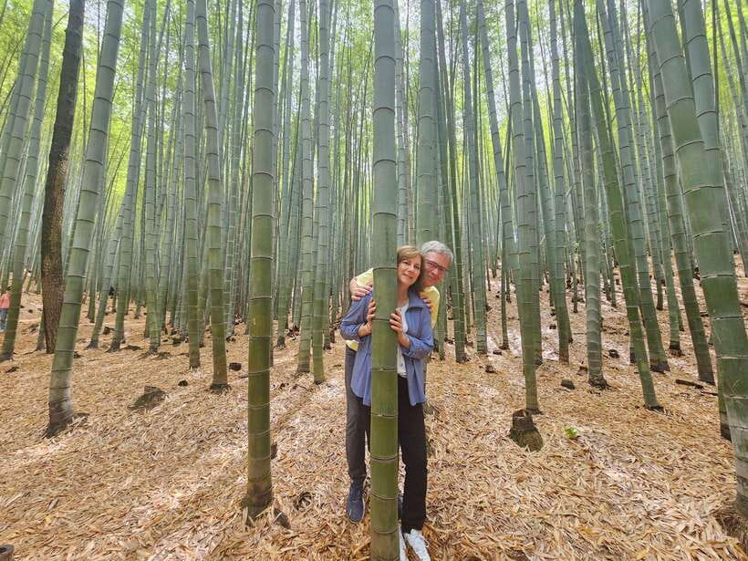 Busan: Hidden Gems Private Tour with a Certified Guide - Ahopsan Forest: bamboo, silence, and a long family tradition