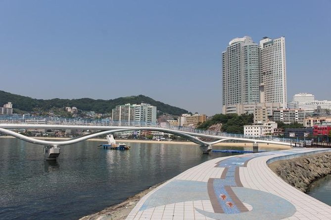 Busan Highlights Shore Tour – Cruise Return Assured - Why this route works for a single day in Busan