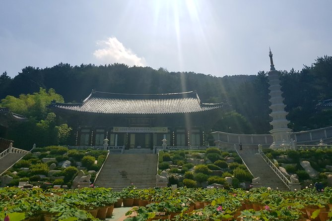 Busan Highlights Shore Tour – Cruise Return Assured - Jagalchi Market and Busan’s working waterfront