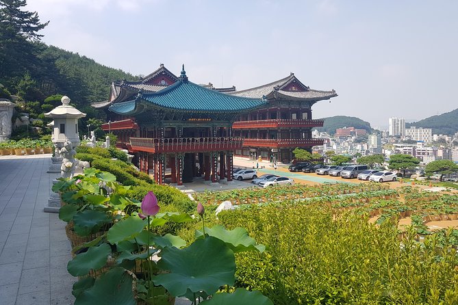 Busan Highlights Shore Tour – Cruise Return Assured - Hwangnyeongsan Mountain for the wide city view