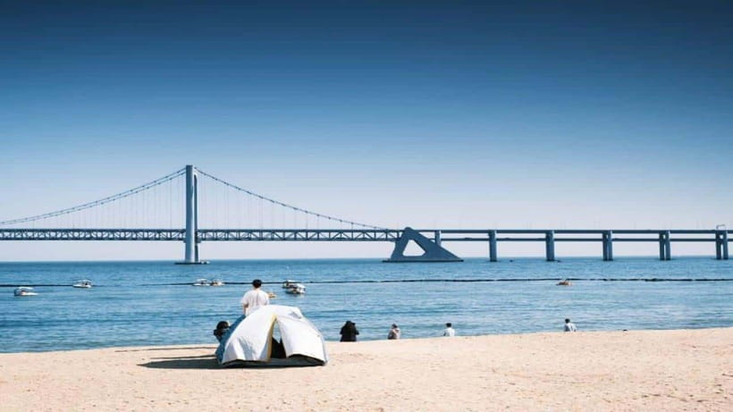 Busan: Jagalchi Market & Gamcheon village Walking Tour - Key points to know before booking