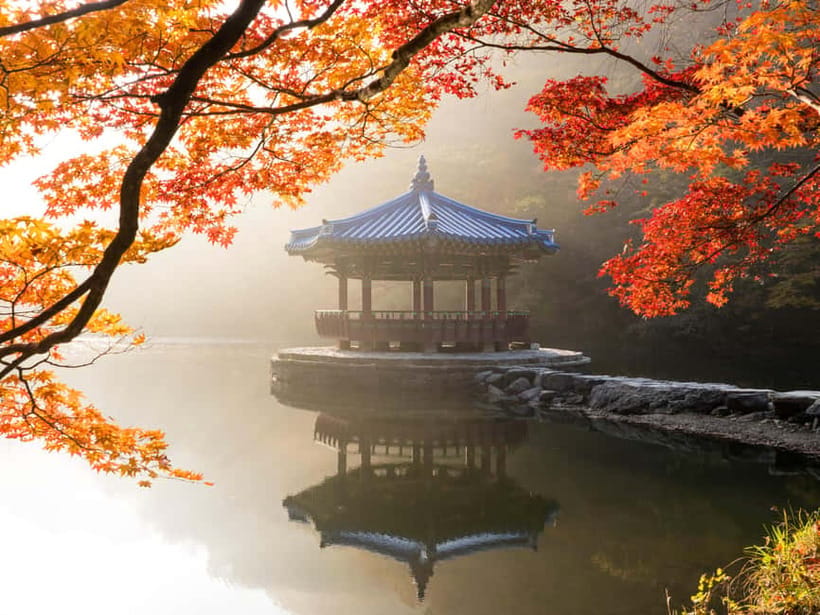 Busan: Naejangsan National Park Autumn Foliage One Day Tour - Why Naejangsan is worth the long ride from Busan