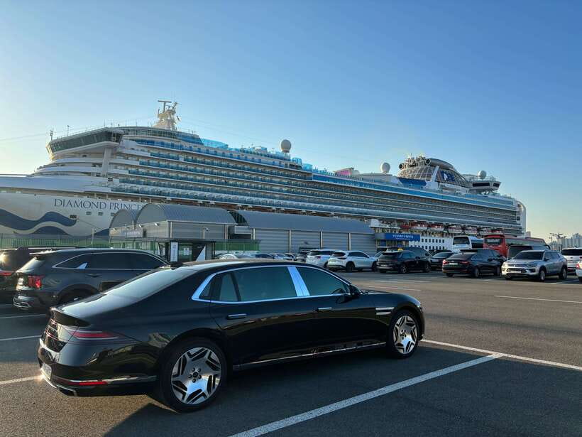 Busan: Private Car Charter Customized City Tour - Why a private car makes sense in sprawling Busan