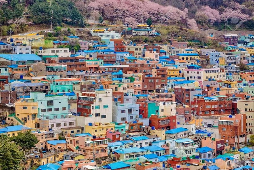 Busan: Private Chartered Car Tour - Haeundae Beach, the train, and the sky capsule