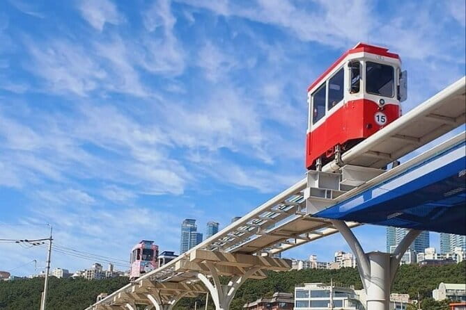 Busan Private Guide Tour : Enjoy customized tour only for you! - A private Busan day built around your interests