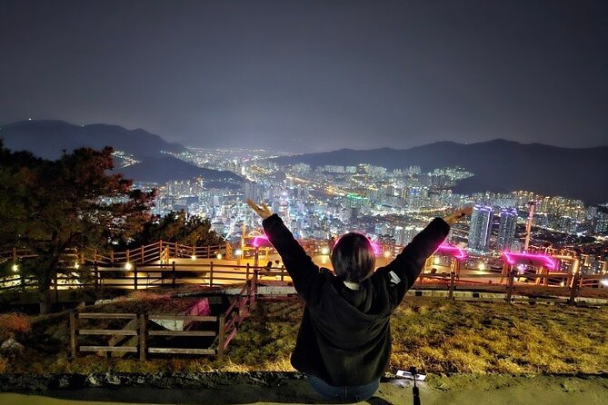 Busan Private Night Tour - City Lights & Food - Busan Harbor Bridge and the city at street level