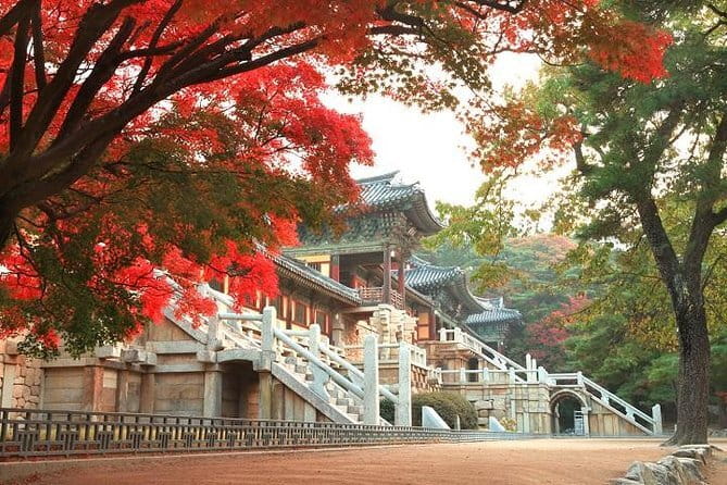 Busan private tour in English or Mandarin - Haedong Yonggungsa Temple by the water