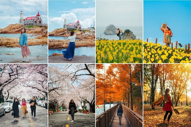 Busan private tour in English or Mandarin - What the guide service adds