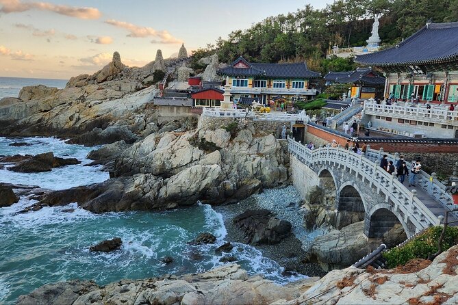 Busan Private Tour with an official tour guide - Jagalchi Market and a Seafood Lunch
