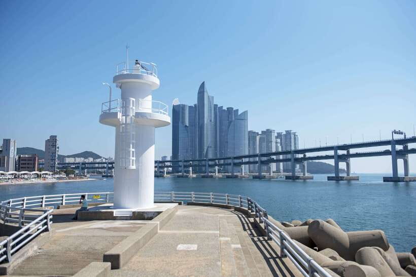 Busan's Best: Sea Temples, Yacht Tour & Sky Capsule Day Tour - Lunch at a local restaurant, with the bill separate