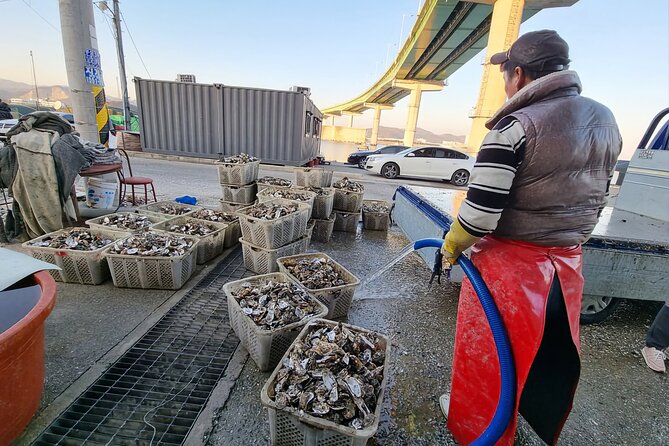 Busan Seafood Tour : Oyster village Tour with Oyster cuisines - Why this is a different Busan food tour