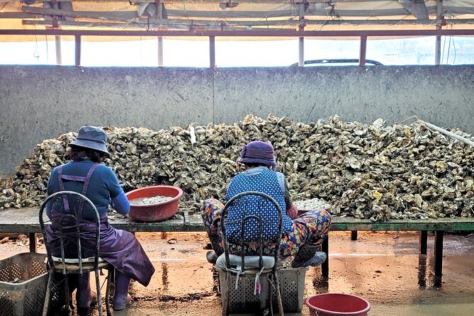 Busan Seafood Tour : Oyster village Tour with Oyster cuisines - What the $180 price really covers
