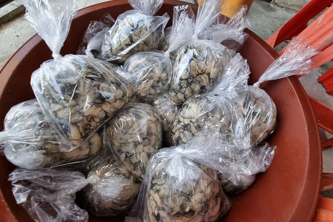 Busan Seafood Tour : Oyster village Tour with Oyster cuisines - Winter timing, weather, and what to bring