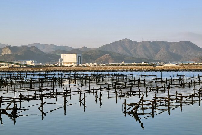 Busan Seafood Tour : Oyster village Tour with Oyster cuisines - Who will enjoy this tour most