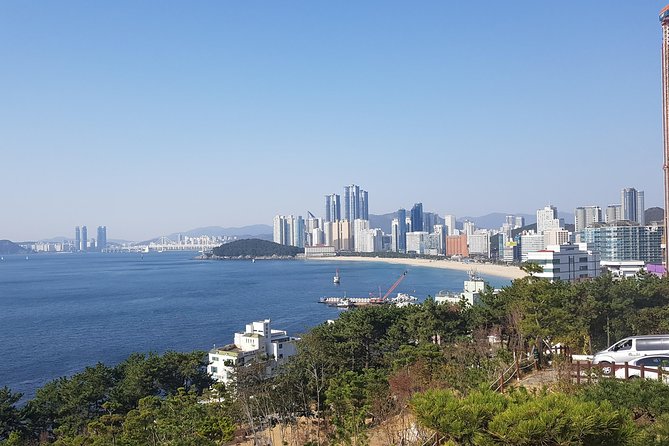 Busan Shore Excursion; Private City Tour - Key points to know before booking
