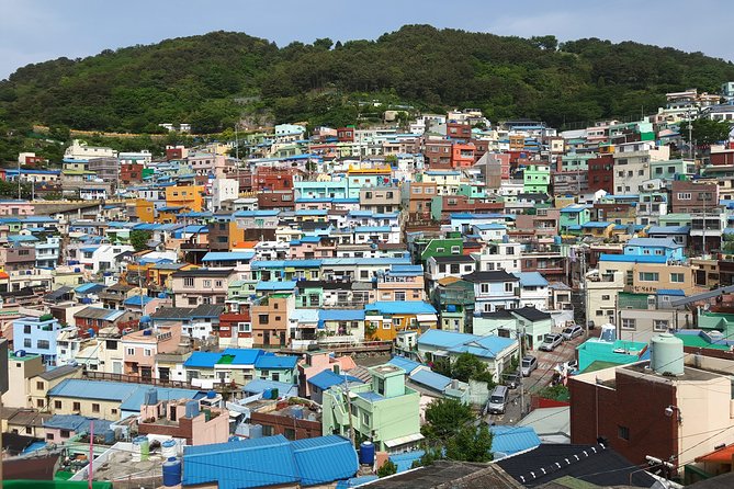 Busan Shore Excursion; Private City Tour - Gamcheon Culture Village: From refuge to creative neighborhood