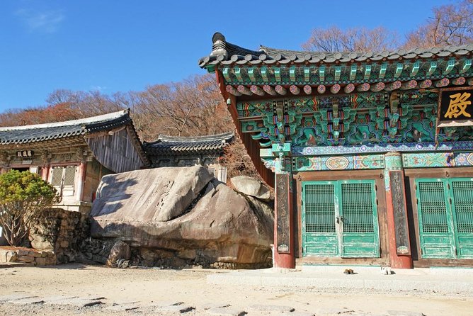 Busan Sightseeing Tour Including Gamcheon Culture Village and Beomeosa Temple - Jagalchi Market and the working port