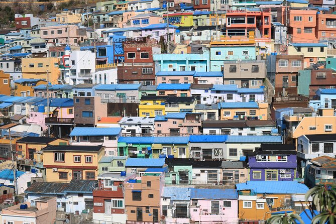 Busan Sightseeing Tour Including Gamcheon Culture Village and Beomeosa Temple - Guide quality can shape the whole day