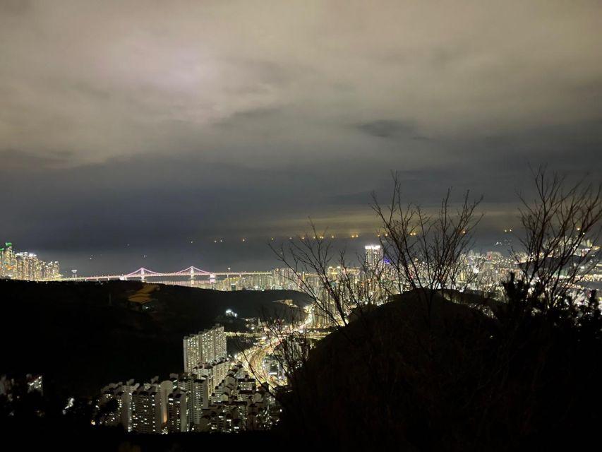 Busan: The Best Night View Small Group Tour - Is $25 good value?