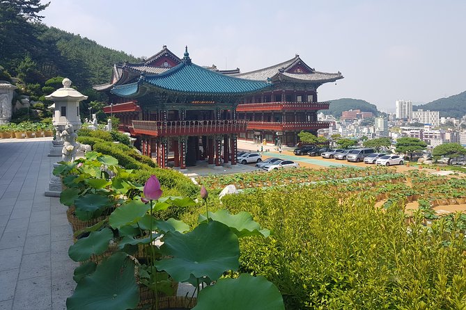 Busan Tour: Gamcheon Village & Haedong Yonggungsa Temple + Lunch - BIFF Square, Gukje Market, and Jagalchi Market