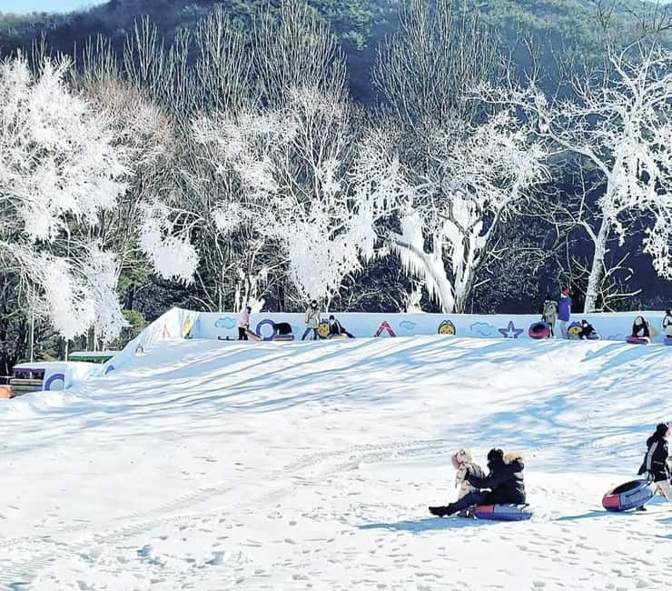 Busan: Winter Healing Park and (Gyeongju/Daegu) One Day Tour - Why this 11-hour winter outing works