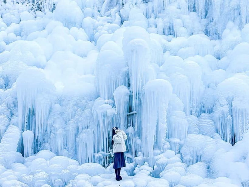 Busan: Winter Healing Park and (Gyeongju/Daegu) One Day Tour - The Gyeongju route: temple, village, cafes, and bridge