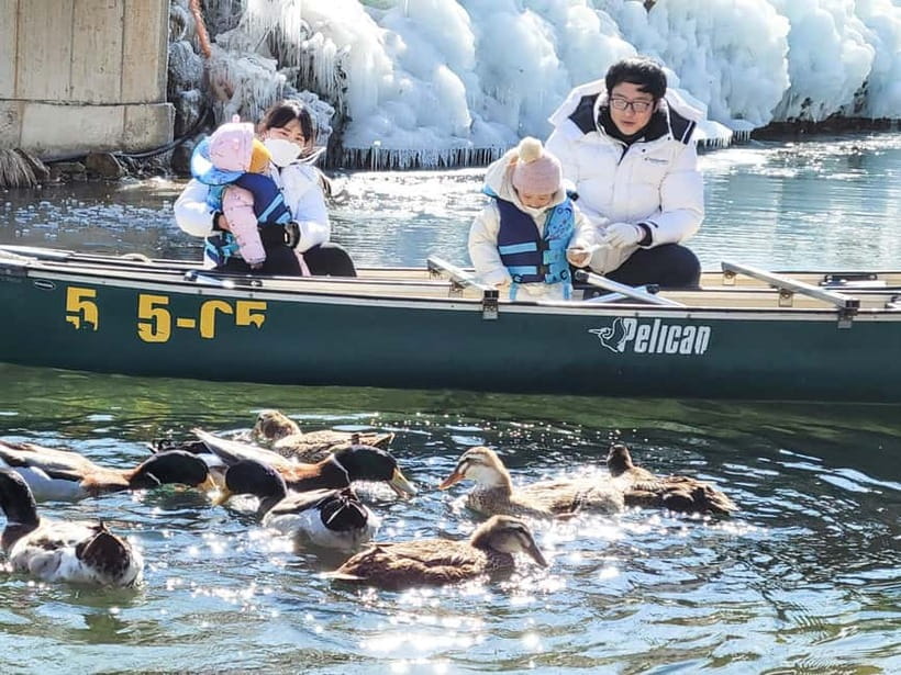 Busan: Winter Healing Park and (Gyeongju/Daegu) One Day Tour - Should you book this Busan winter tour?