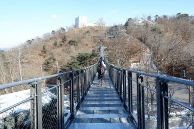 Closest Observatory to DMZ & Suspension Bridge Tour from Seoul