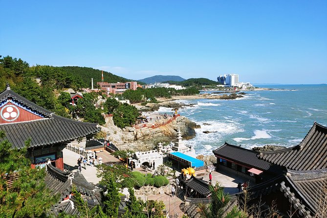 Cruise Layover Busan Highlight Tour with Sea temple and Gamcheon - Why this tour works for a cruise stop