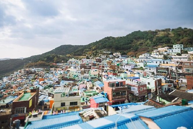 Cruise Layover Busan Highlight Tour with Sea temple and Gamcheon - Jagalchi, BIFF, and Gukje: three different tastes of central Busan