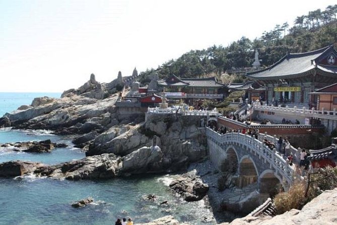 Cruise Layover Busan Highlight Tour with Sea temple and Gamcheon - The UN Memorial Cemetery: a quiet change of pace