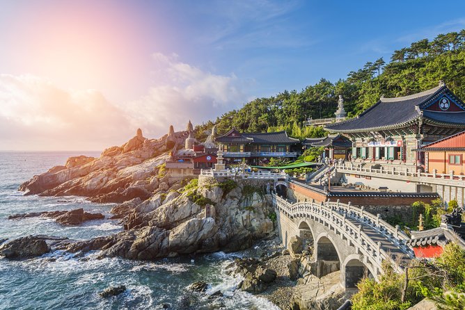 Cruise Layover : Small Group Busan Highlight Day Tour - Busan in one day: the essential points