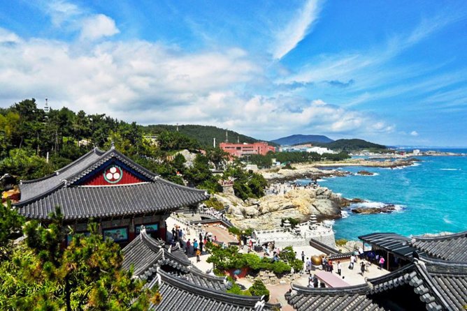Cruise Layover : Small Group Busan Highlight Day Tour - Gukje Market and the old commercial center