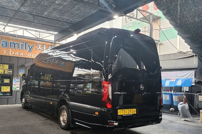 Customizable Private Seoul Tour in luxury van for VIP - N Seoul Tower closes the day with a city view