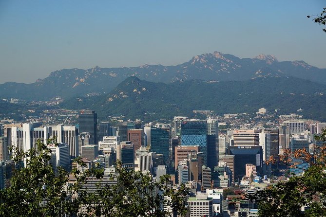 Customized Private Seoul tour: Palace, Market etc(Airport Option) - The crucial choice: Seoul, the DMZ, or the suburbs