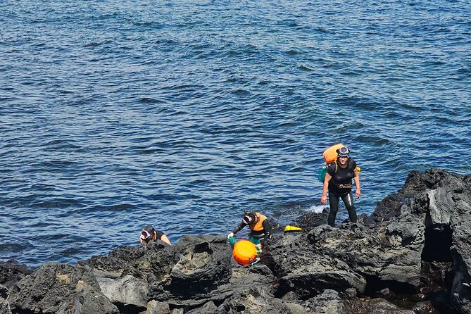 Customized private tour in Jeju island - The Southern Route: Waterfalls, Sea Cliffs, and Volcanic Rock