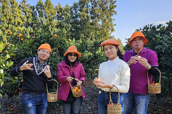 Customized private tour in Jeju island - What the Driver Can Add to Your Day