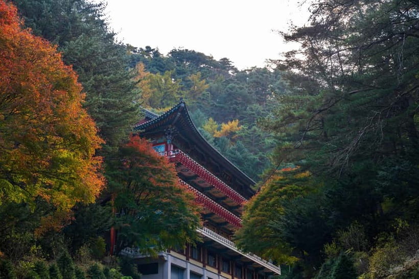 Danyang Tour:Guinsa Temple & Bobaljae & Cheongpung Cable Car - The human side of the temple visit