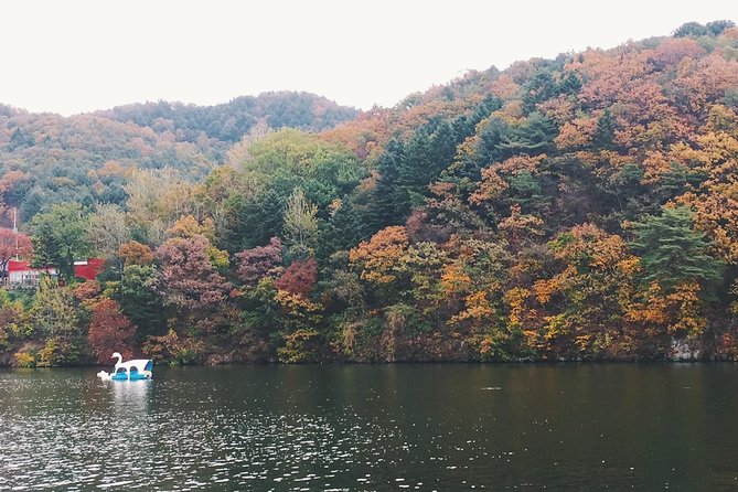 Day Tour to Gangchon Rail Bike Nami Island and Petite France - A full day beyond Seoul’s city streets