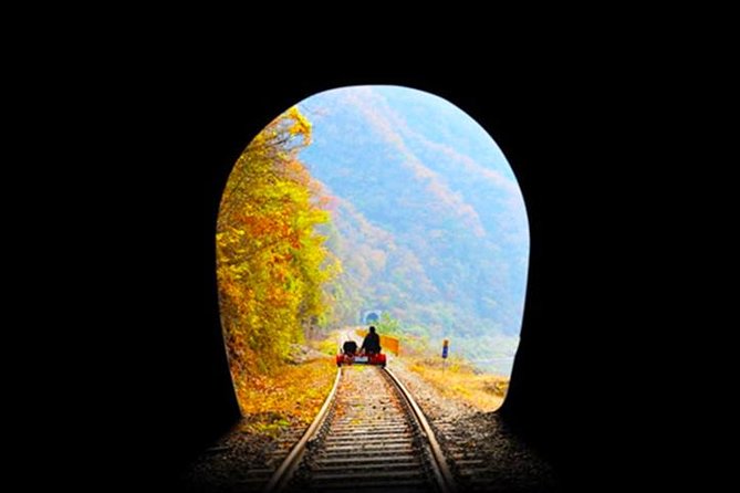 Day Tour to Gangchon Rail Bike Nami Island and Petite France - An hour in the French-themed Petite France