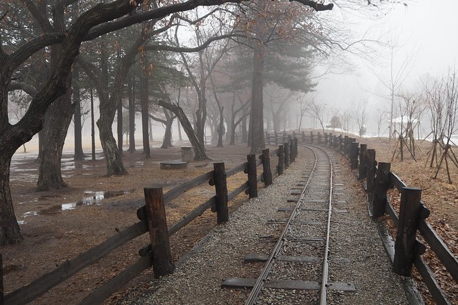 Day Tour to Gangchon Rail Bike Nami Island and Petite France - Private transport and the 8:40 am start