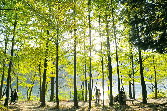 Day Trip to Nami Island with Rail bike and The Garden of Morning Calm - Transport, weather, and the real cost of the day
